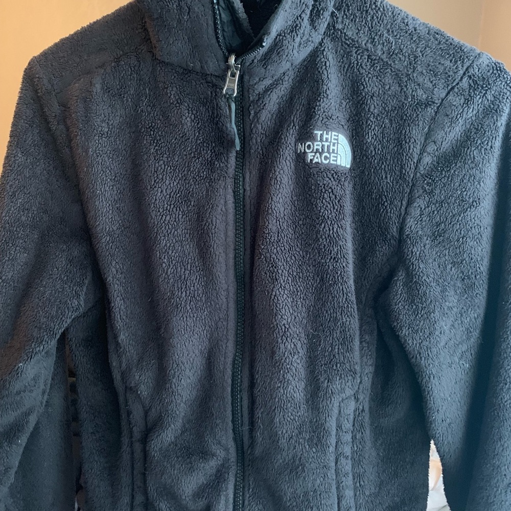 The north face jacket